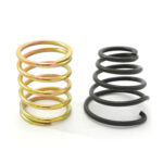 RNE - SJ 300 Valve Springs